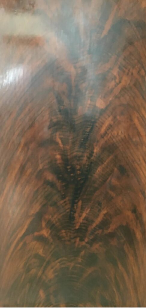 Feathered Mahogany